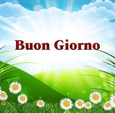 Albor